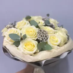 Прованс